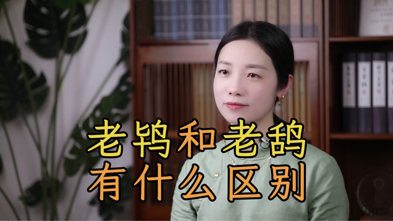 古代的“老鸨”和“老鸹”是什么?怎么读?看字形就知道了_高清1080P在线观看平台_腾讯视频