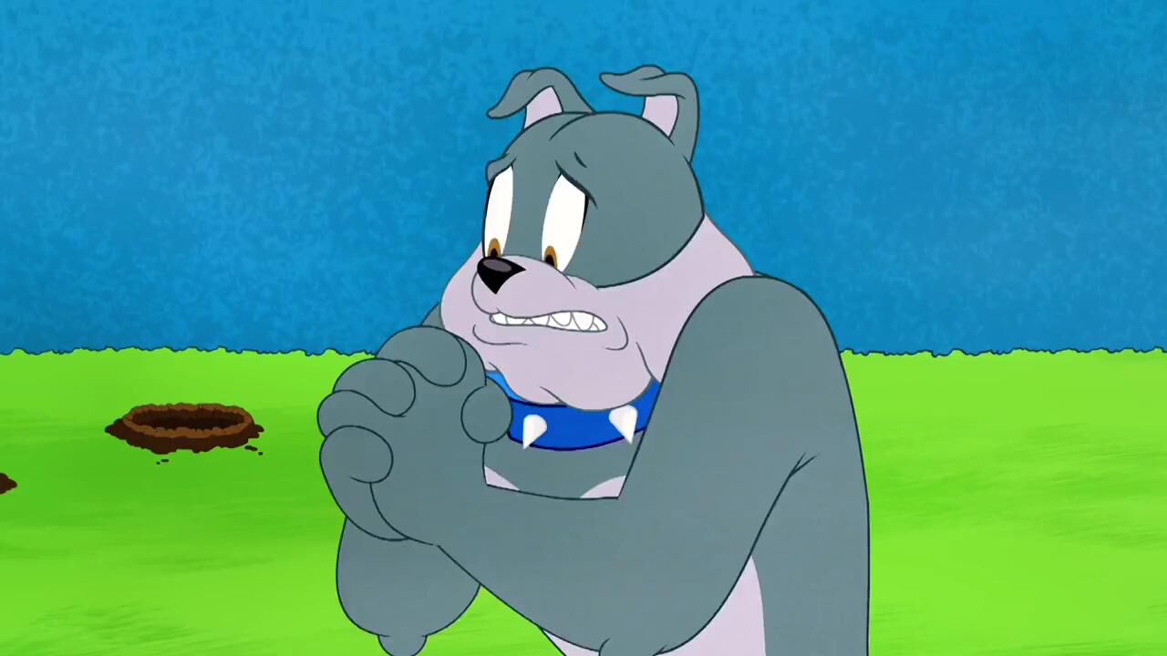 《猫和老鼠》"大表哥的威名谁人不知?"#猫和老鼠