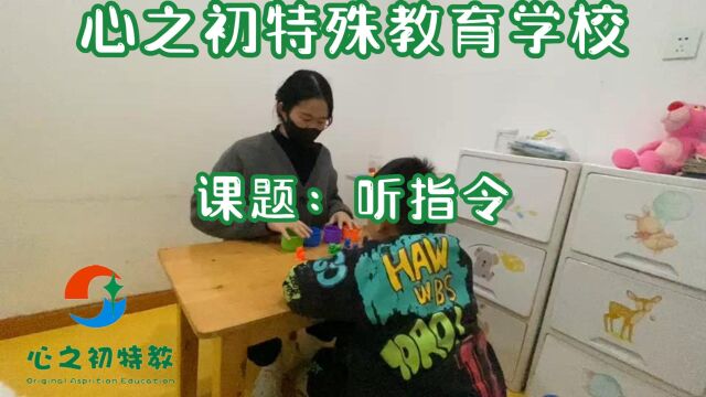 智力障碍儿童家庭干预训练小课题目标:孩子能快速区辨指令,理解把不同颜色的物品放到不同颜色的杯子内视频来源:心之初特殊教育学校(武汉洪山校...