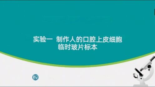 实验一：制作人的口腔上皮细胞临时玻片标本