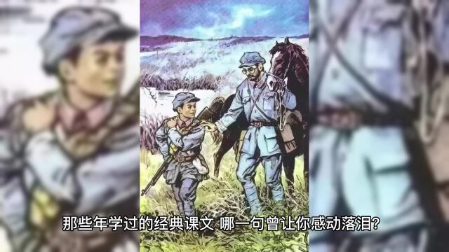 那些年学过的经典课文,哪一句曾让你感动落泪?