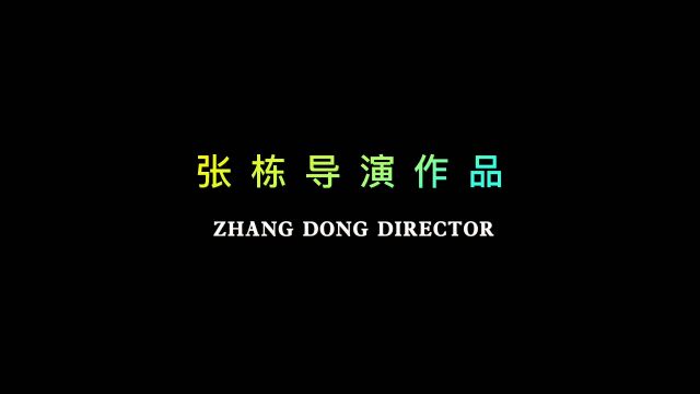 张栋导演作品集