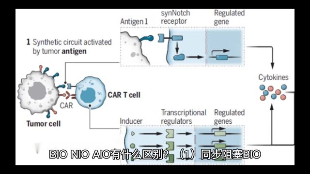 BIO ,NIO,AIO有什么区别