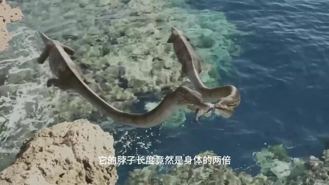 #史前生物 #三叠纪 (三) #古生物 #人与自然 #生命科学