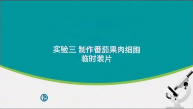 实验三:制作番茄果肉细胞临时装片