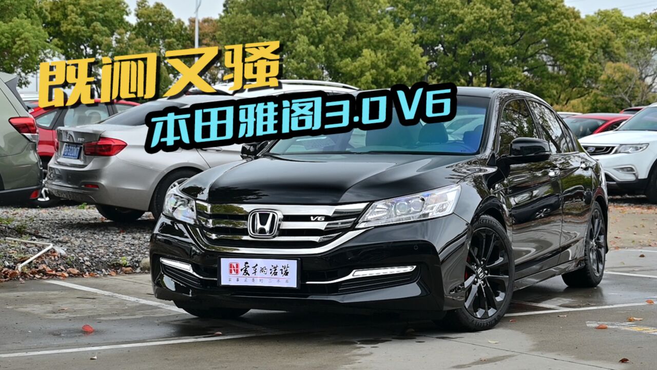 6缸大雅阁,闷骚新选择——本田雅阁3.0l v6尊贵版