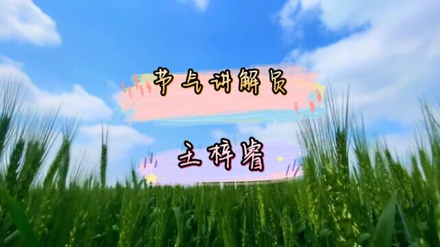 王梓睿+习俗+祈蚕节