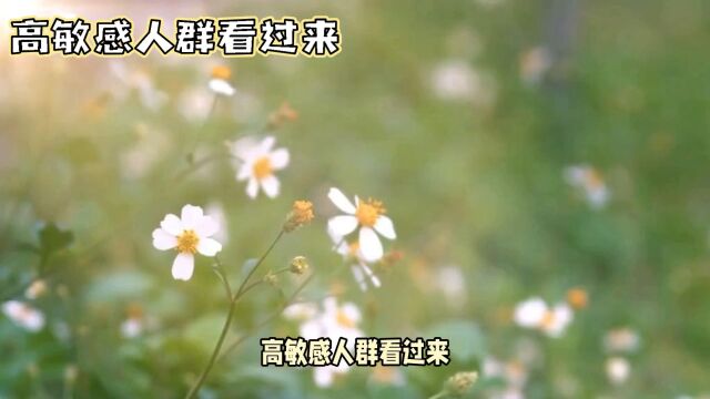 高敏感人群看过来