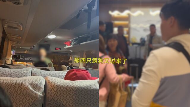 网曝云南一导游暗讽游客是“狗”,文旅厅:会双方核实,进行处理