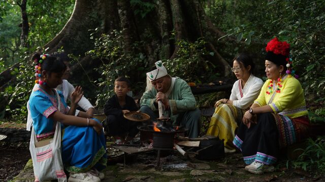 雨林演替食宴