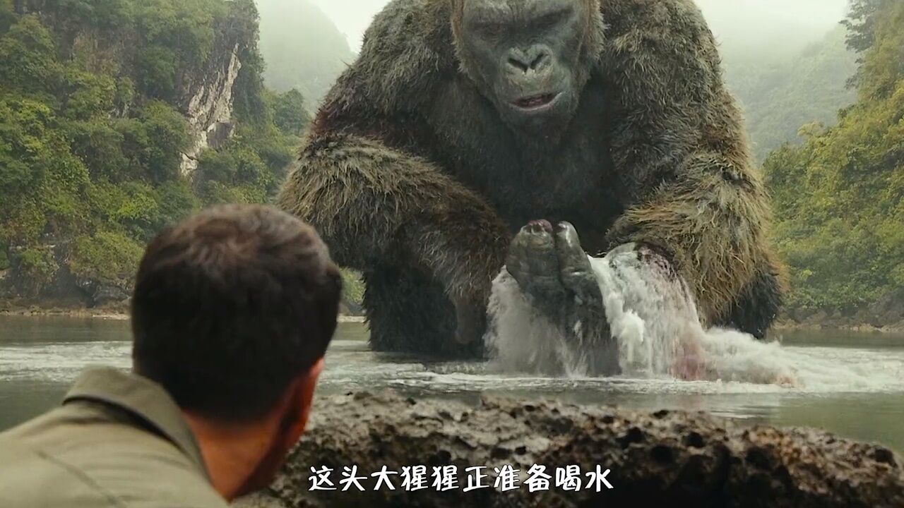 金刚大战骷髅巨蜥,场面太燃了