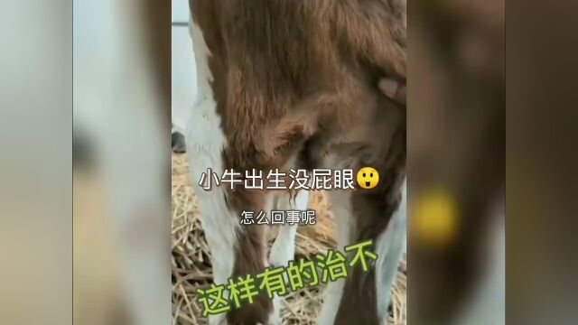 看一遍笑一遍 同名视频随机起名12374630370