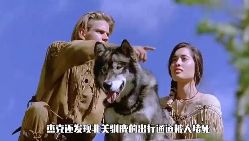 一口气看完《白狼勇士》男子与狼生存，最后成为印第安人的救星