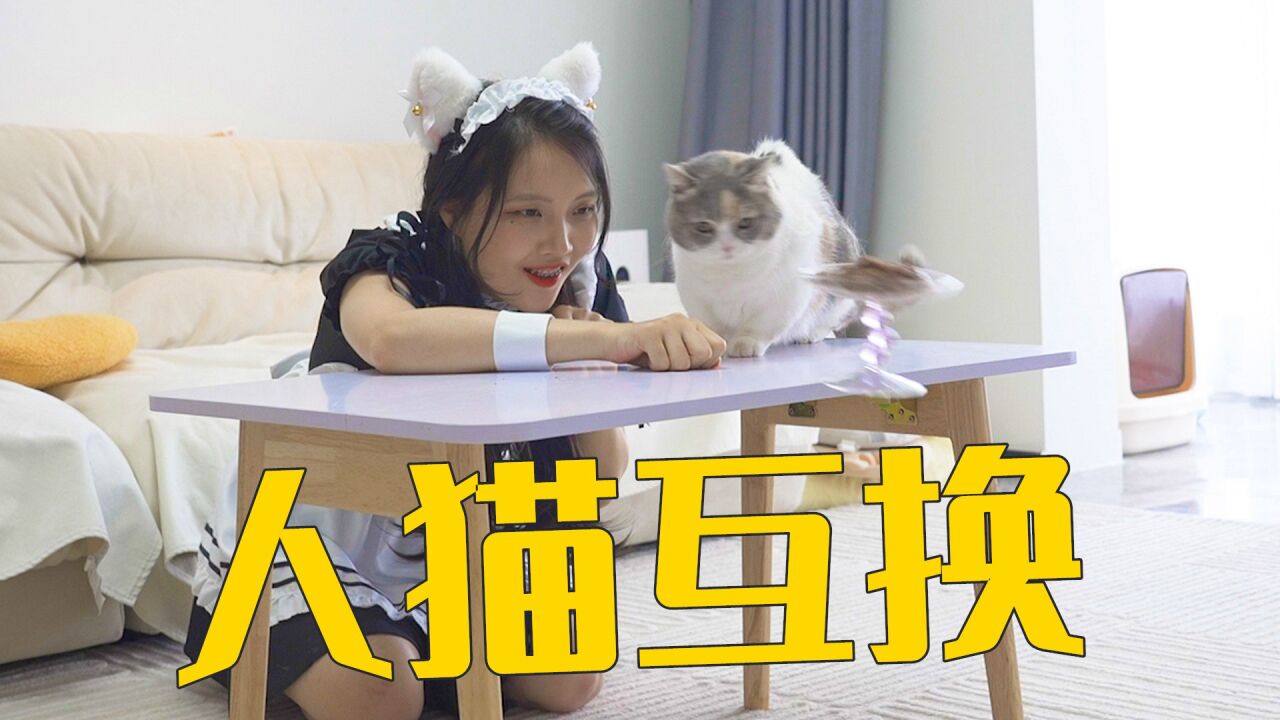 小奶猫的成长日记_做了你这么久的妈妈,这次换你做我妈_高清1080P在线观看平台_腾讯视频