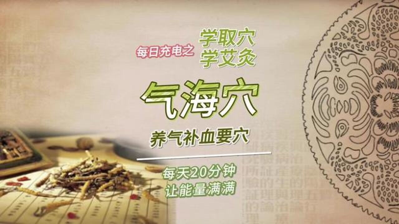 养气补血人人必需,气海穴,了解一下!#艾灸养生保健#传承中医文化#健康养生#穴位小窍门#分享知识_高清1080P在线观看平台_腾讯视频