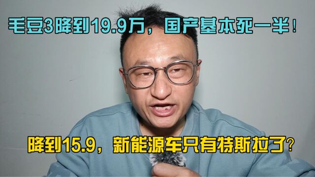 毛豆3降到19.9万,国产基本死一半!降到15.9,新能源车只有特斯拉了?