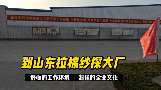 为山东点赞!到当地纺织厂拉货 享受舒心佛乐 还被正能量标语吸引