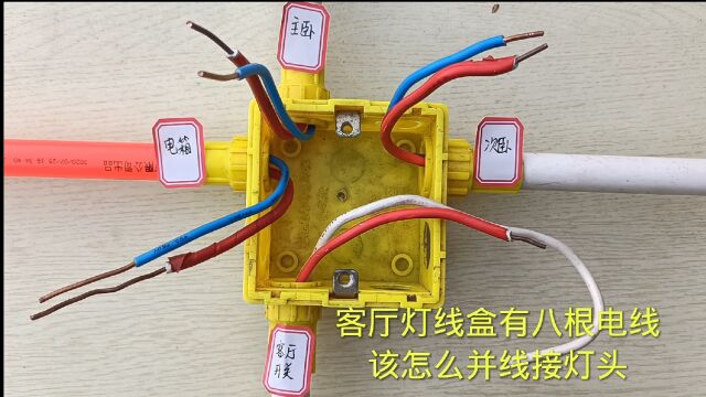 客厅灯线盒有八根电线,该怎么并线接灯头?搞清楚原理其实很简单