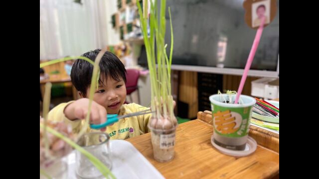 我与植物共成长