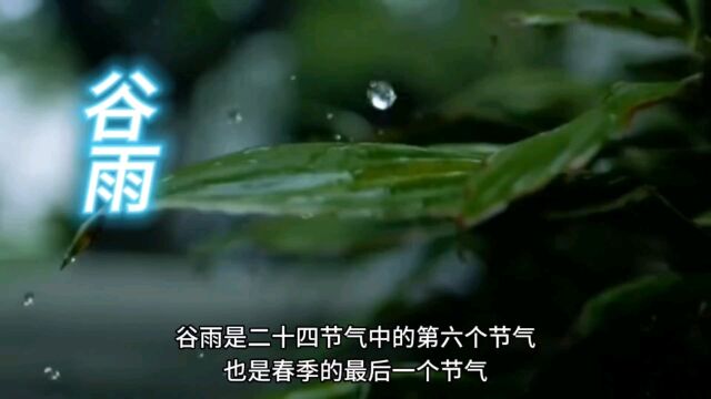 2023年4月20日是二十四节气之谷雨谷雨的由来和习俗