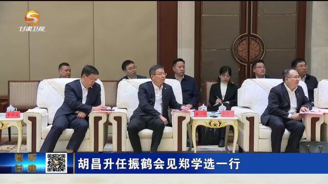 胡昌升任振鹤会见郑学选一行