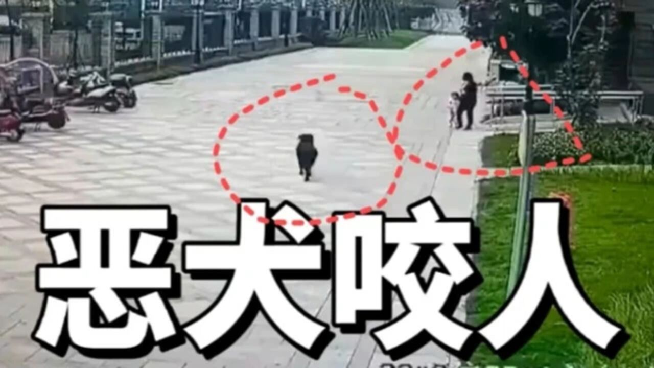 完整录像_10月16日成都一小区突发恶犬咬人事件_高清1080P在线观看平台_腾讯视频