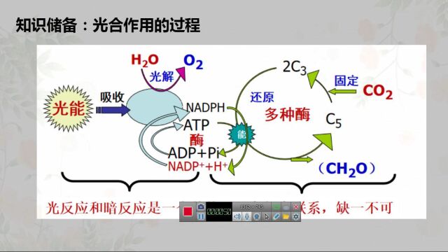 《C4途径与C4植物》,本节微课介绍C4途径,能利用较低浓度的二氧化碳进行固定,这是是植物对高温、干旱环境的适应方式.东方市常见的玉米即为C4...