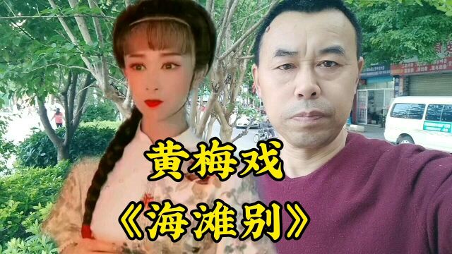 黄梅戏《海滩别》本愿与你长相守