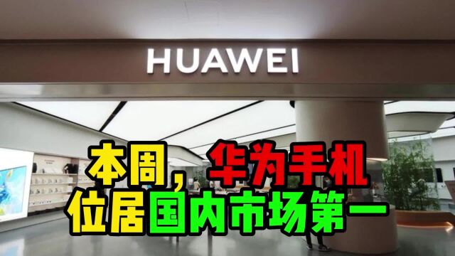 华为手机的销量份额也由10%左右增长至19.4%,位居国内市场第一