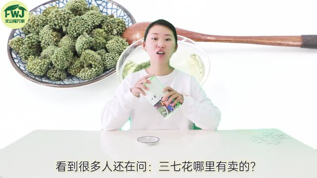 三七花什么样子?三七花哪里有卖的?哪种三七花好?