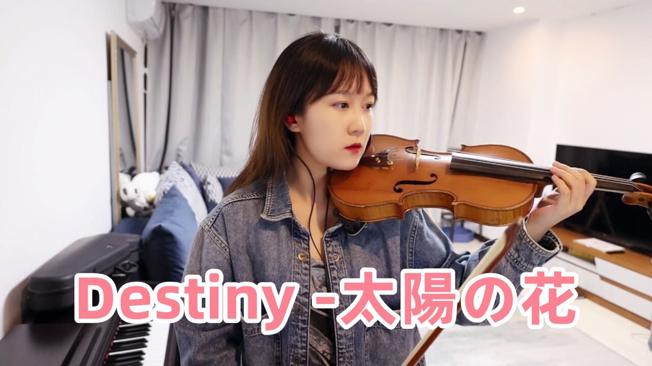 揉揉酱小提琴演奏 島谷ひとみ《destiny -太陽の花- (destiny-太阳花