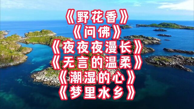 《野花香》《问佛》《夜夜夜漫长》《无言的温柔》《潮湿的心》