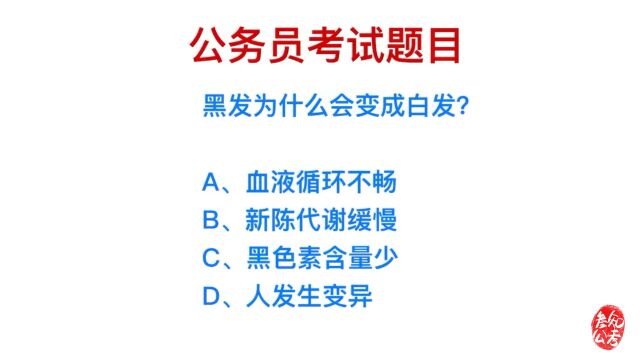 公务员考试题,黑头发为什么会表白?