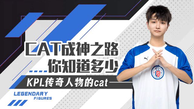 KPL传奇人物的cat,他的成神之路你知道多少?