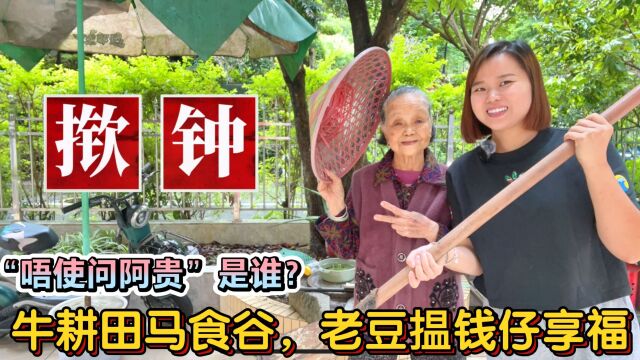 牛耕田马食谷”什么意思?广东民间谚语金句,句句有哲理