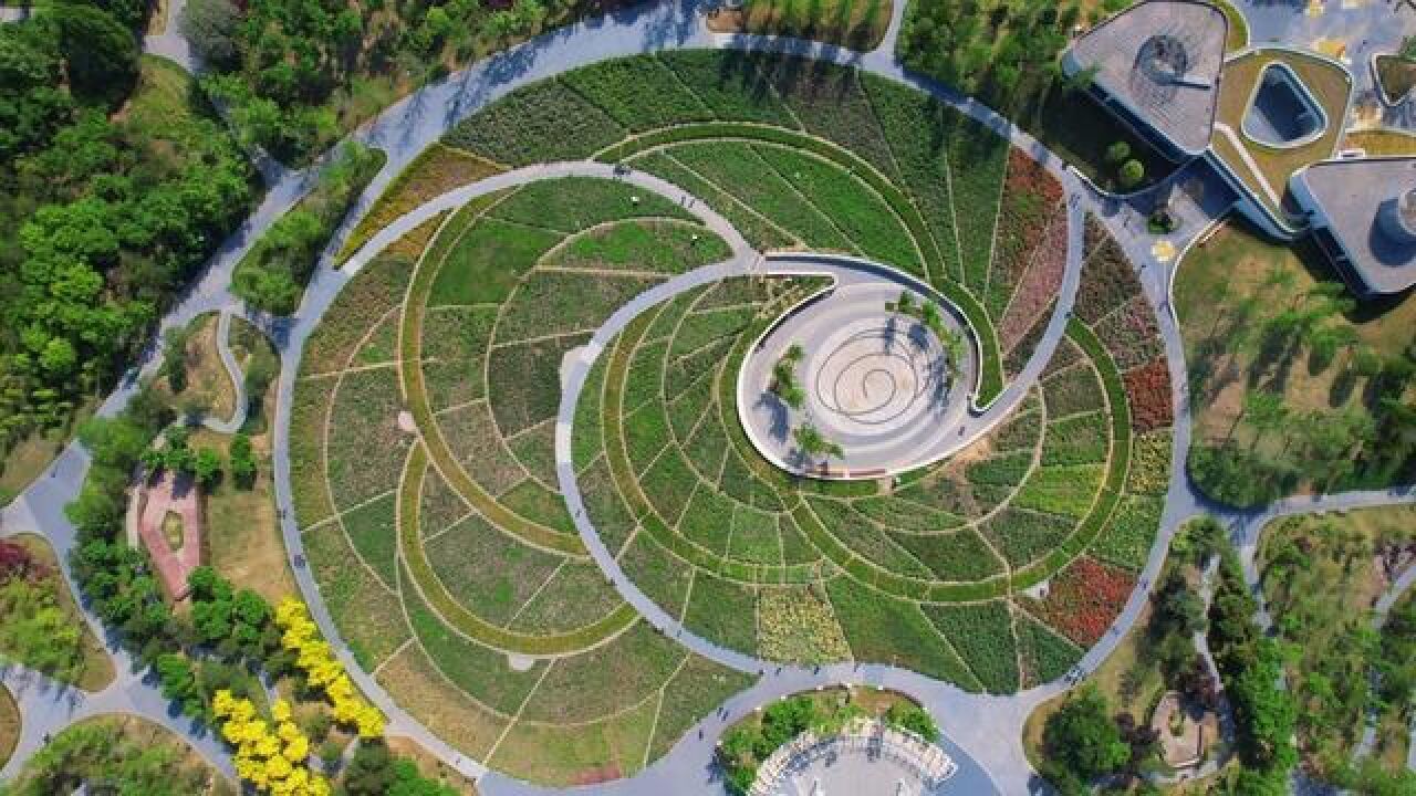 郑州西流湖公园北区太美啦!2023蝶舞芳华月季展正在进行中!
