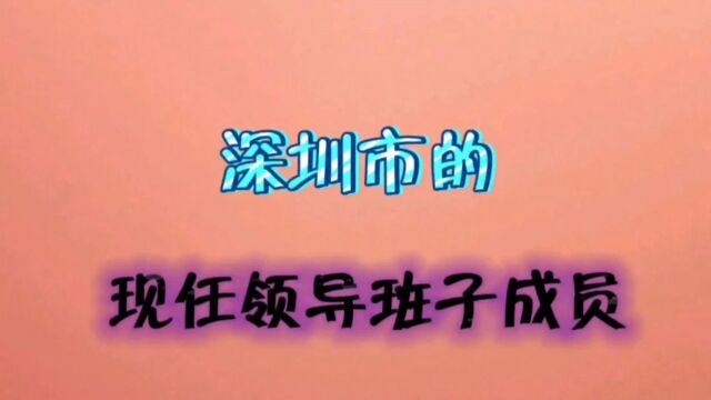 2023年广东省深圳市人民政府领导干部班子成员,你认识吗?