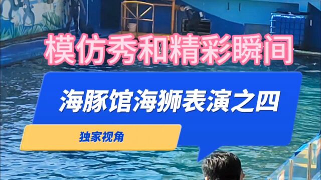 独家视角:海豚馆海狮表演之四模仿秀和精彩瞬间表演