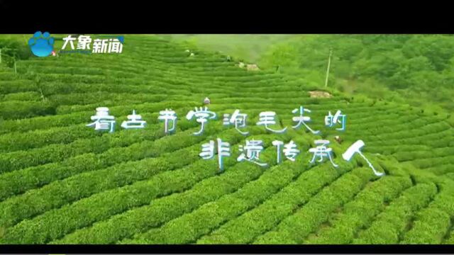 河南信阳:从小和茶叶打交道,杨静成为信阳第一位茶艺非遗传承人,被评为“技能大师”