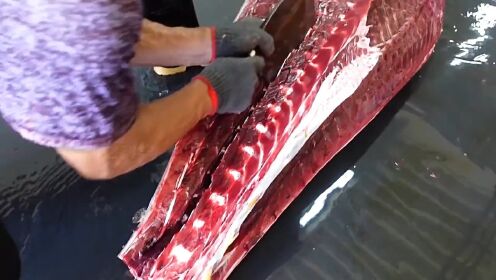 深海鱼油的制作全过程详细解读，看完这个视频你再考虑鱼油到底要不要吃。深海鱼油胶囊鱼油知识