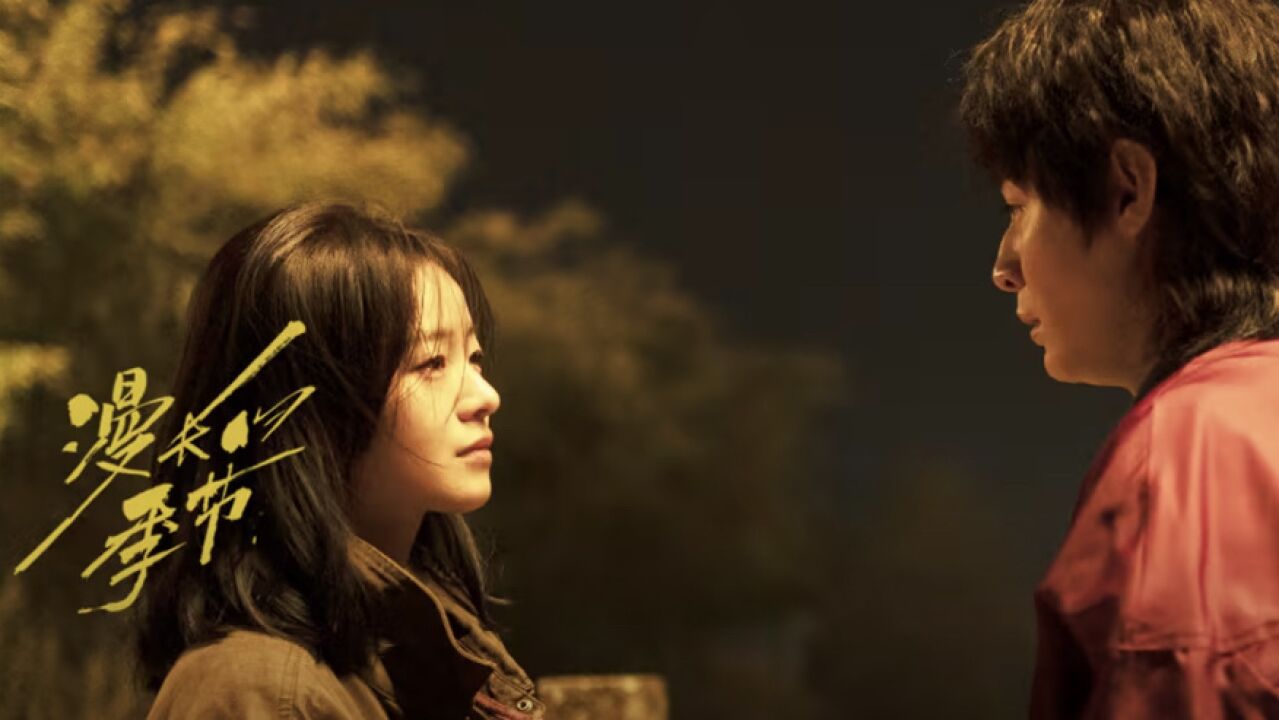 3年度高分神剧《漫长的季节》完美收官!