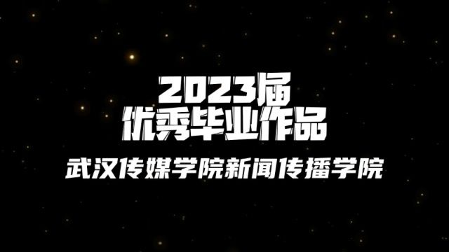 23届武汉传媒学院优秀毕业作品《青春的颜色》