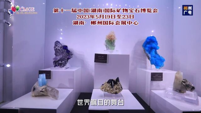 郴州这条高速最新进展来了!