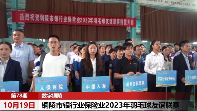 2023铜陵市银行业保险业羽毛球友谊联赛顺利举行