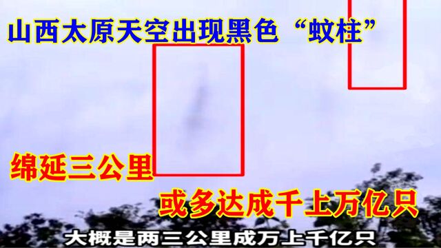 山西太原天空出现黑色“蚊柱”,绵延三公里,或多达成千上万亿只