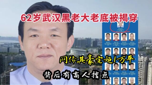 62岁武汉黑老大老底被揭穿,网传其豪宅超1万平,背后有高人指点