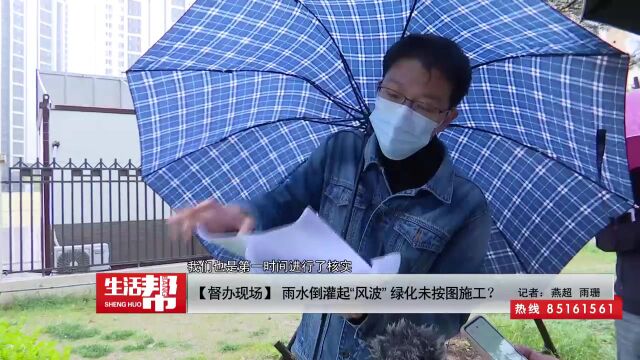 【督办现场】 雨水倒灌起“风波” 绿化未按图施工?