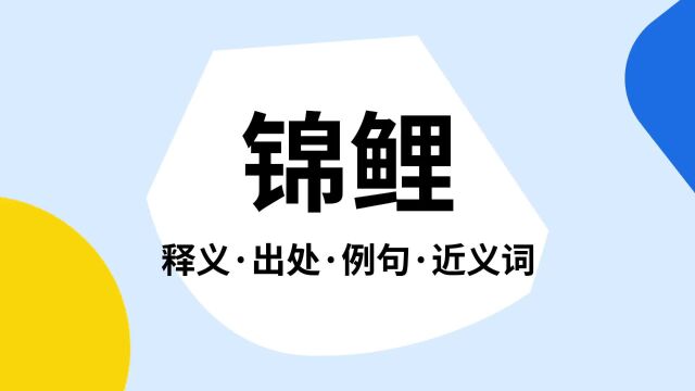 “锦鲤”是什么意思?