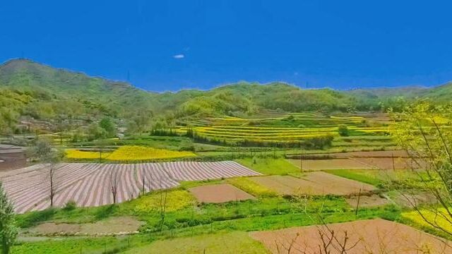 习惯了一个人的出行!初夏的天空碧蓝如洗,山间透出的浅绿昭告着生命的律动,我沉醉于清新的空气之中,无问西东!