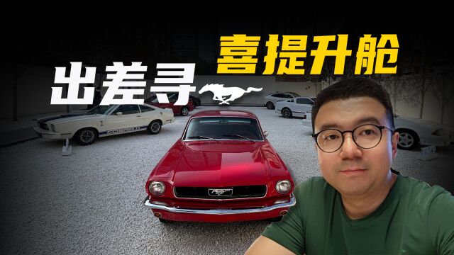 历代Mustang齐聚,居然有接近60年的老爷车?